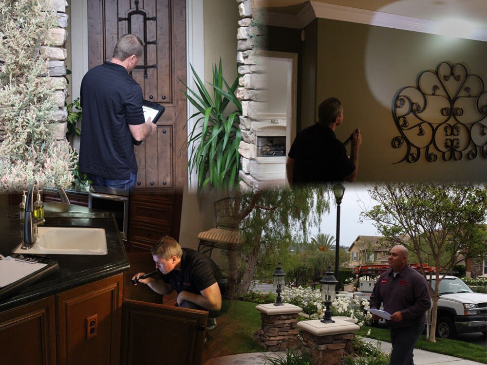 Termite Pro Inspectors